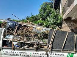 Best Foreclosure Cleanout  in Summersville, WV